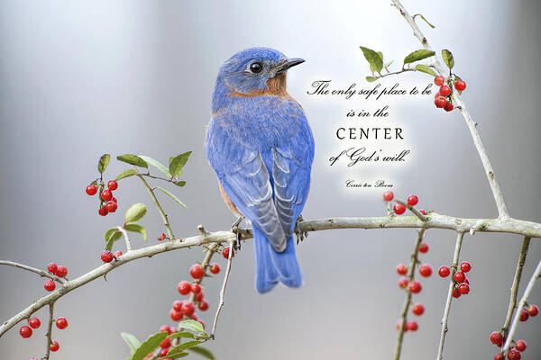 Corrie Ten Boom Art Print featuring the photograph The Center of God's Will by Bonnie Barry