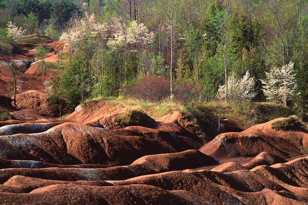 Queenston Shale Art Print featuring the photograph The Cheltenham Badlands by Gary Hall