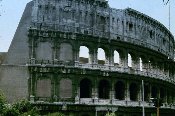 The Colosseum Art Print featuring the photograph The Colosseum by Donna Walsh