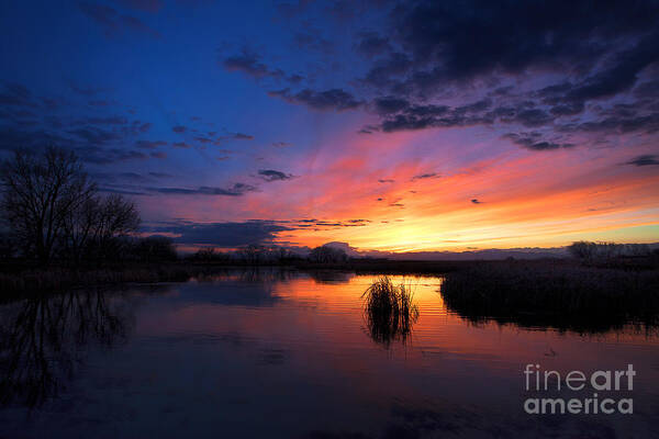Rocky Mountain Arsenal Sunset Art Print featuring the photograph The Cool of the Evening by Jim Garrison