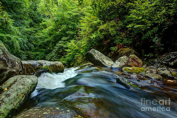 Stream Art Print featuring the photograph The Flow Keeps On by Michael Eingle