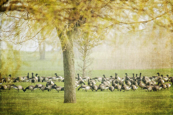 Flock Art Print featuring the photograph The Gathering by Cathy Kovarik