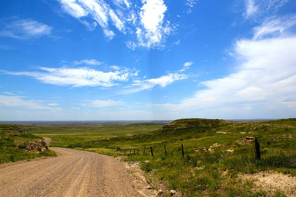 Grass Art Print featuring the photograph The Grasslands by Shane Bechler