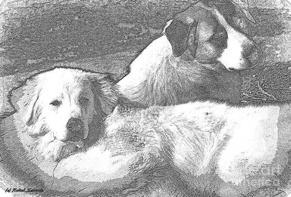 Great Pyrenees Art Print featuring the photograph The Guardians by Rabiah Seminole