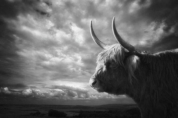 Silhouette Art Print featuring the photograph The Highlands by Holger Droste
