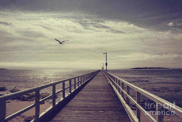 Pier Art Print featuring the photograph The Jetty by Linda Lees