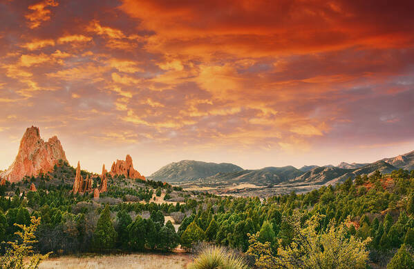 Garden Of The Gods Art Print featuring the photograph The Light Of Day by Tim Reaves
