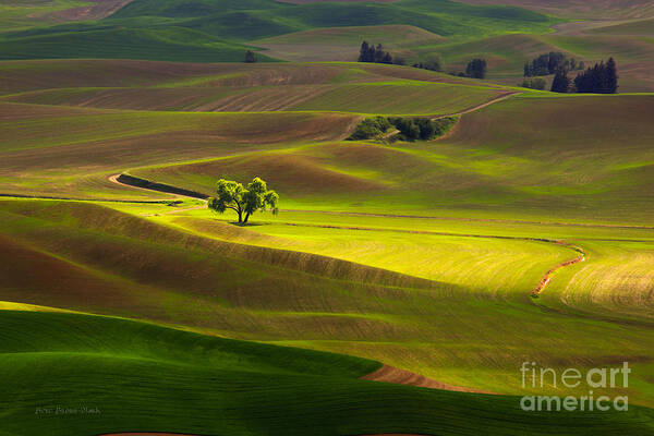 Butte Art Print featuring the photograph The Light Touch by Beve Brown-Clark Photography