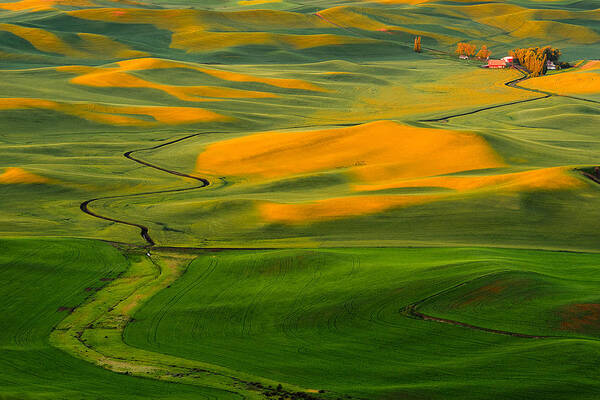 The Palouse Art Print featuring the photograph The Long and Winding Road by Dan Mihai