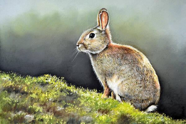 Rabbit Art Print featuring the painting The Lookout by Paul Dene Marlor