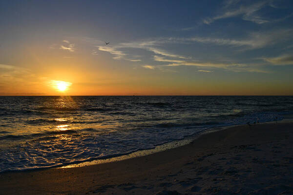 Seashore Art Print featuring the photograph The Ocean by Melanie Moraga