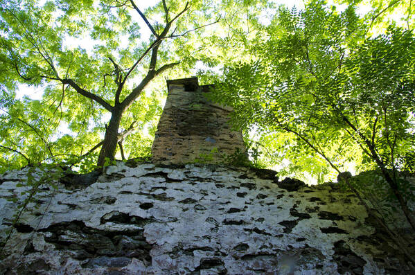 Old Art Print featuring the photograph The Old Chimney in the Woods by Bill Cannon
