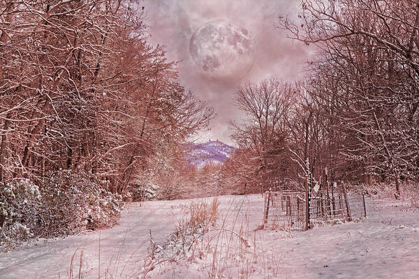 Winter Art Print featuring the photograph The Pink Snow Evening by Betsy Knapp