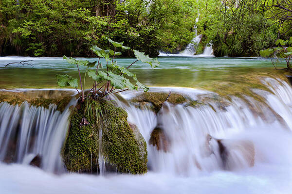 Attraction Art Print featuring the photograph The Plitvice Lakes In The National Park by Martin Zwick