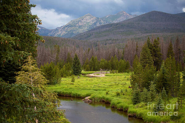 Rocky Mountain National Park Photograph; Moose Landscape Photograph; Moose Photograph; River Photograph; Stream Photograph; Art Print featuring the photograph The Rain Must Fall by Jim Garrison
