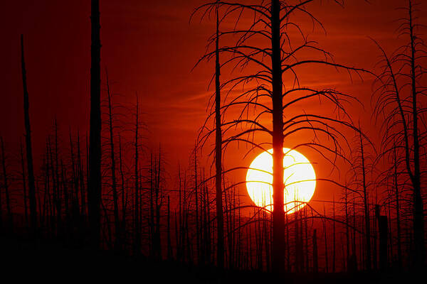 Buffalo Creek Fire Photograph; Buffalo Creek Fire Canvas Print; Red Sun Photograph Art Print featuring the photograph The Red Planet by Jim Garrison