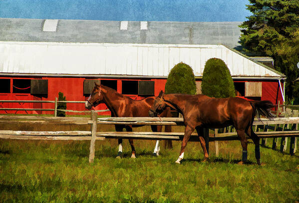 Horses Art Print featuring the photograph The Red Stable by Cathy Kovarik