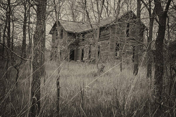 Abandoned Art Print featuring the photograph The House in the Woods by Mary Lee Dereske