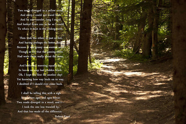 The Road Not Taken Art Print featuring the photograph The Road Not Taken - Robert Frost Path in the Woods by Georgia Fowler
