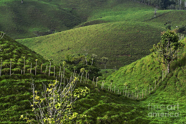 Heiko Art Print featuring the photograph The Soft Hills of Caizan by Heiko Koehrer-Wagner