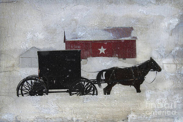 Amish Art Print featuring the photograph The Star Barn in Winter by David Arment