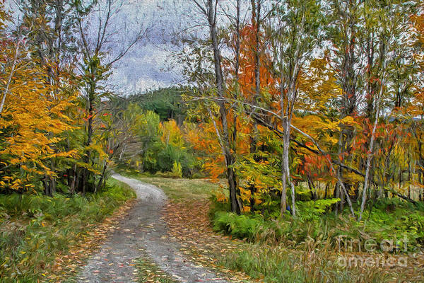 Rural Art Print featuring the painting The Vermont Rural Life by Deborah Benoit