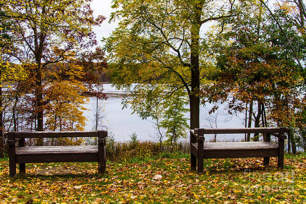 Mendon Ponds Art Print featuring the photograph The View by William Norton