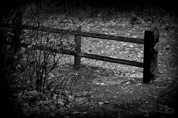 Fence Art Print featuring the photograph TheFence Black and White by Guy Hoffman