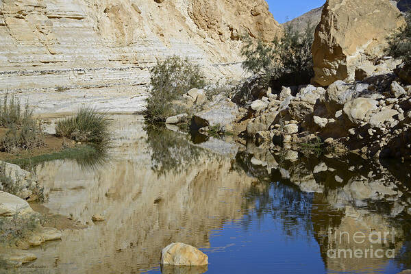 Water Art Print featuring the photograph There is water in the desert 03 by Arik Baltinester