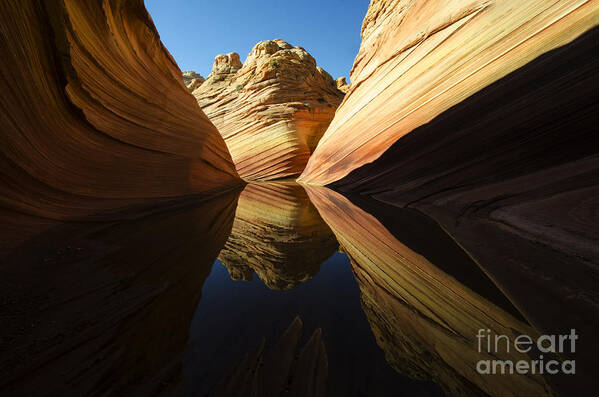 The Wave Art Print featuring the photograph The Wave Reflected Beauty 1 by Bob Christopher