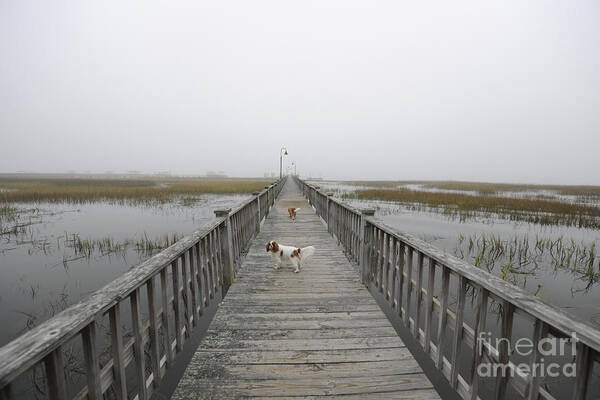 Fog Art Print featuring the photograph Thick as Peanut Butter by Dale Powell
