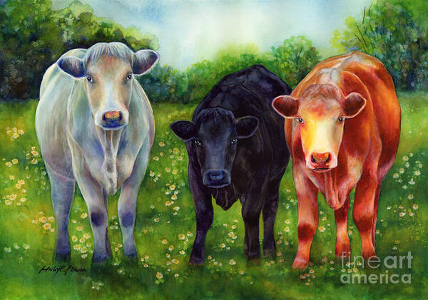 Cows Art Print featuring the painting Three Amigos by Hailey E Herrera