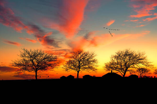 Sunset Art Print featuring the photograph Three Trees In The Park by Cathy Kovarik