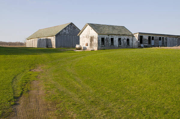 Photograph Art Print featuring the photograph Three Weathered Farm Buildings by Lynn Hansen
