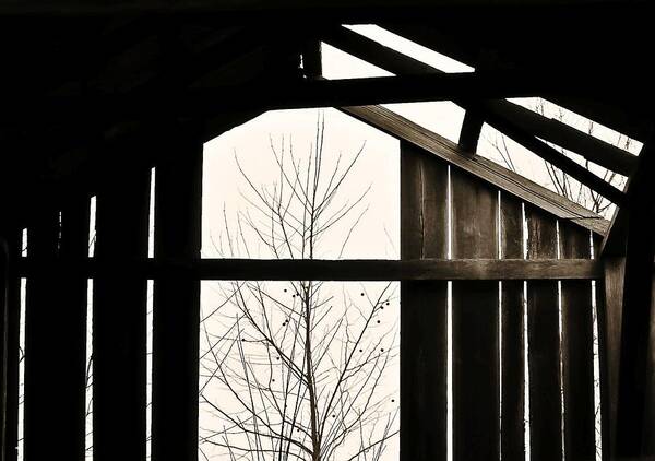 Through The Barn Loft Art Print featuring the photograph Through the Barn Loft by Greg Jackson