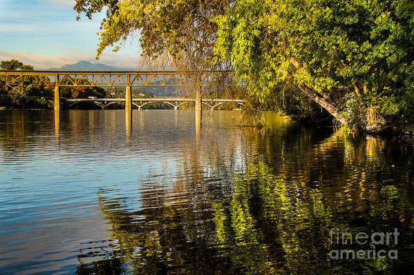 Sacramento River Art Print featuring the photograph Timeless Reflections by Randy Wood