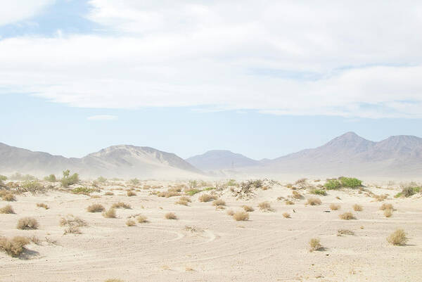 Scenics Art Print featuring the photograph Tire Tracks In The Desert by Peter Starman