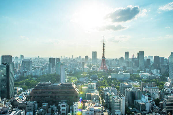 Tokyo Tower Art Print featuring the photograph Tokyo City Skyline by Johnnygreig