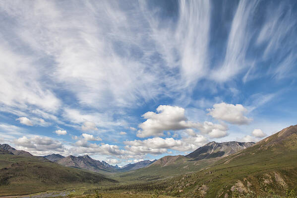 Canada Art Print featuring the photograph Tombstone Range by Michele Cornelius