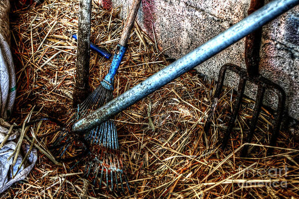 Farm Art Print featuring the photograph Olde Tools Of The Trade by Doc Braham