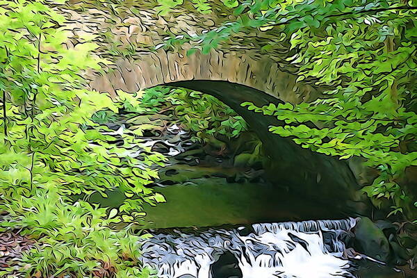 Killarney Art Print featuring the photograph Torc Bridge by Norma Brock