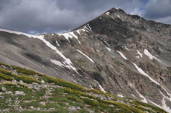 Torreys Art Print featuring the photograph Torreys Peak by Aaron Spong