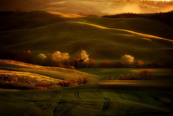 Toskany Art Print featuring the photograph Golden fields of val d'Orcia by Jaroslaw Blaminsky