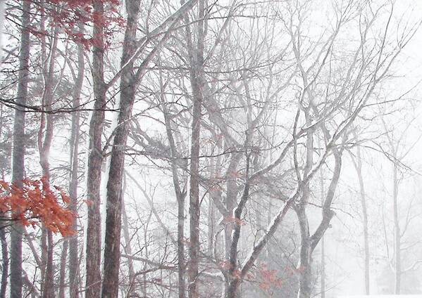 Nature Art Print featuring the photograph Touch of Fall in Winter Fog by Pamela Hyde Wilson