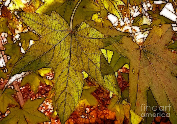 Leaves Art Print featuring the photograph Touch Of Fall by Kathy Baccari