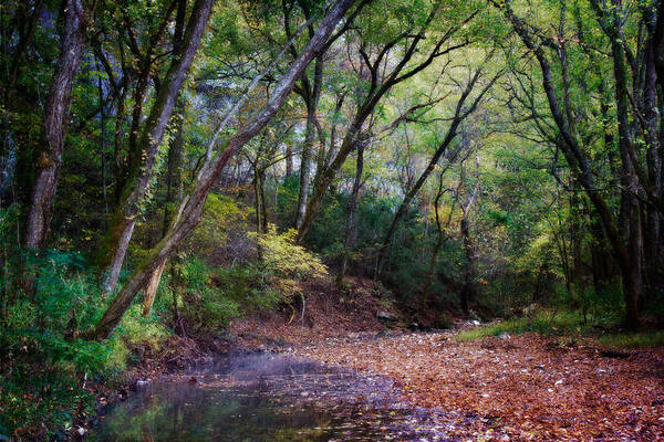 Arkansas Art Print featuring the photograph Touch of Fall by Lana Trussell