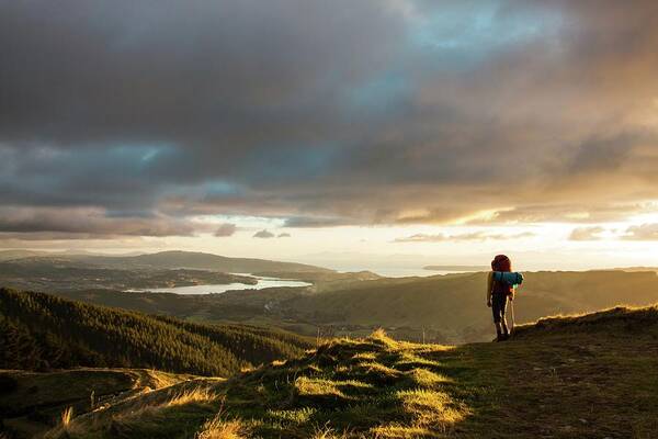 Outdoors Art Print featuring the photograph Tramper Looking At The View From by New Zealand Transition