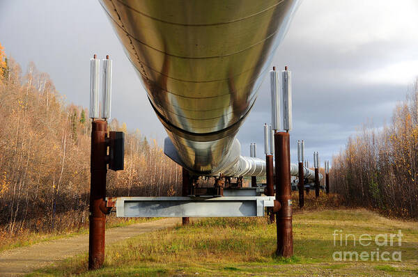 Oil Art Print featuring the photograph Trans-Alaska Oil Pipeline in the Fall by Gary Whitton