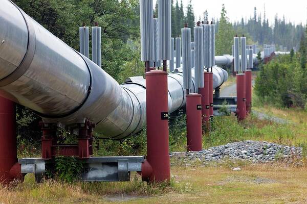 Trans-alaska Pipeline Art Print featuring the photograph Trans-alaska Oil Pipeline by Jim West