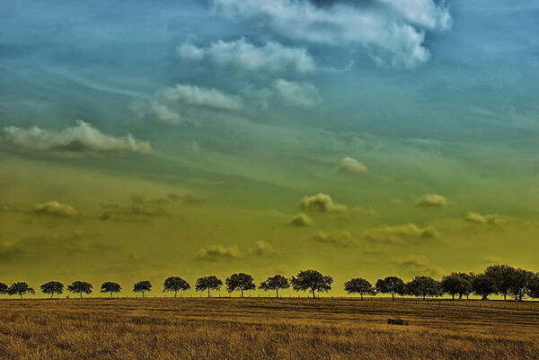 Trees Art Print featuring the photograph Tree Line by Susan Moody